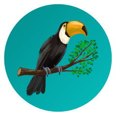 Literatura Brasileira